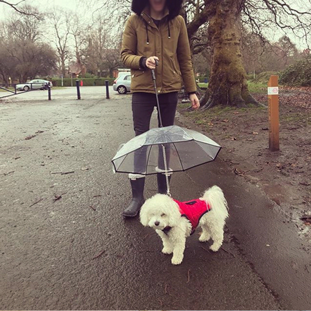 Dog's Transparent Umbrella With Traction Chain Removable Umbrella. Keep your Dog dry in wet weather