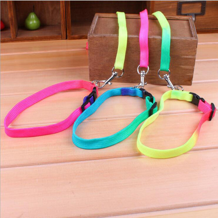 Round rainbow color cat leash dog chain