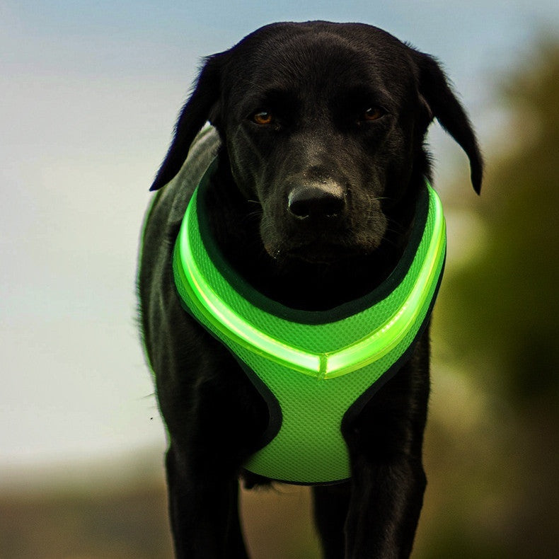 LED Luminous Dog Harness USB Charging Dog Chest Strap Vest Pet Safety Reflective Harness