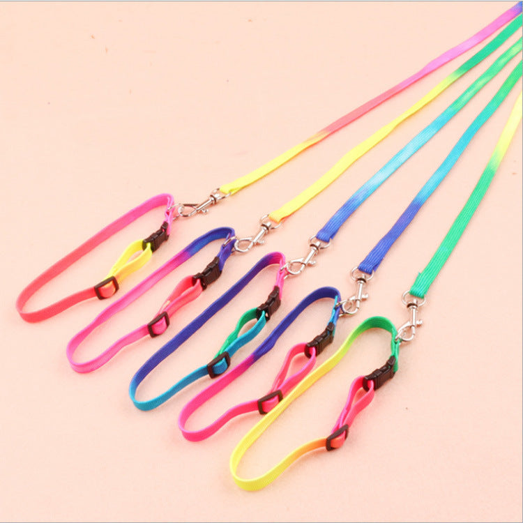 Round rainbow color cat leash dog chain